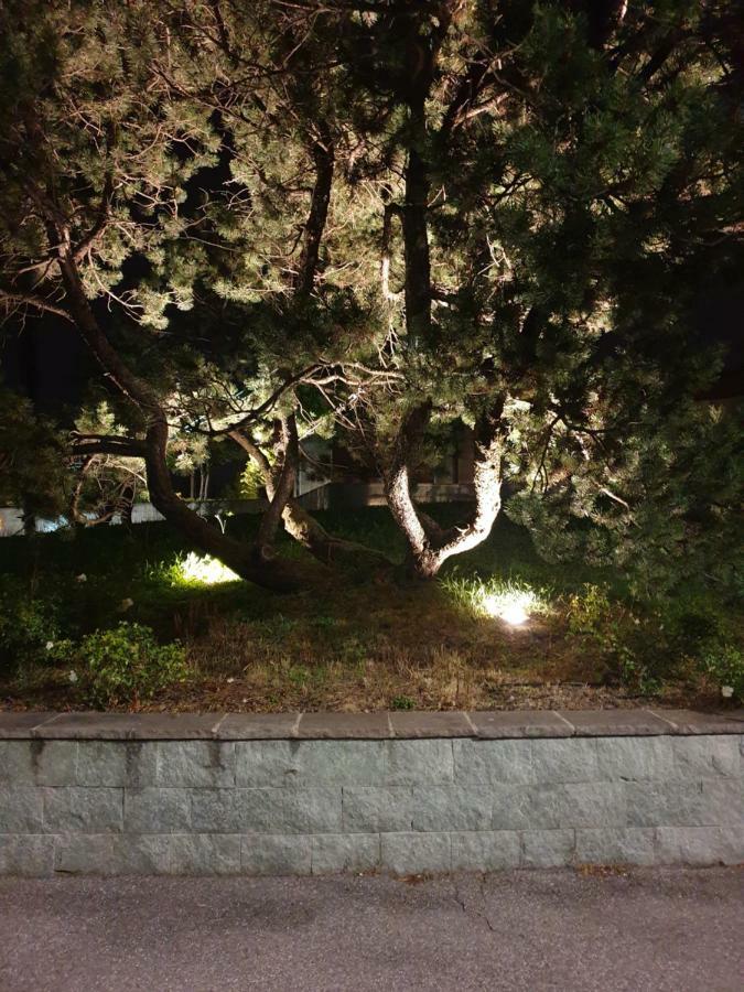 Casa Vacanza Orio Al Serio Bergamo Dış mekan fotoğraf